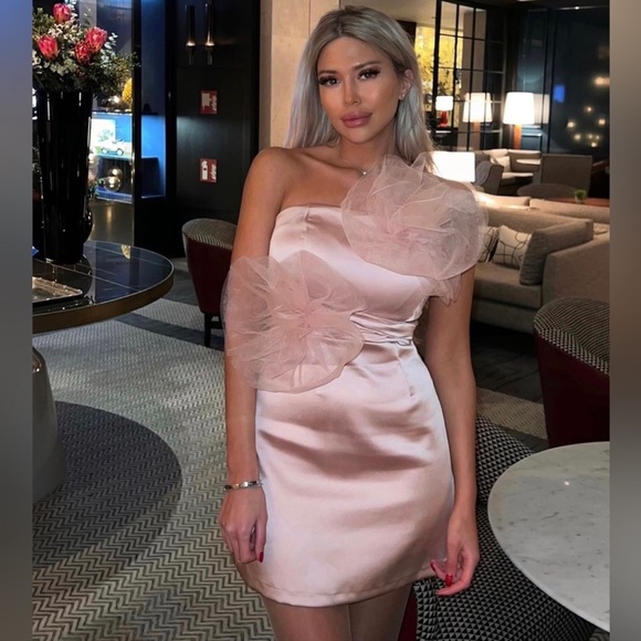 Zara Beige Pink Floral Mini Dress - Picture 6 of 17